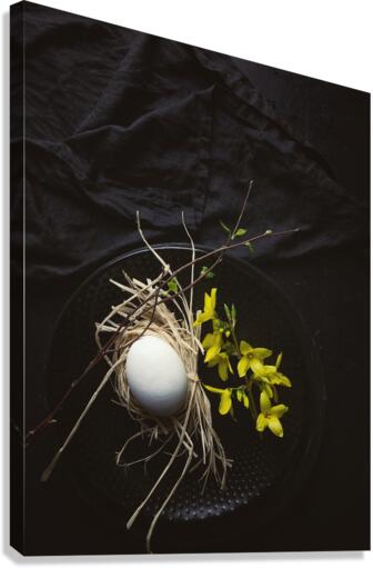 Easter Eggs II Canvas Print