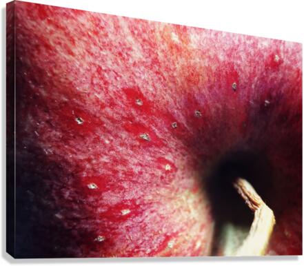 Another deep look Canvas Print
