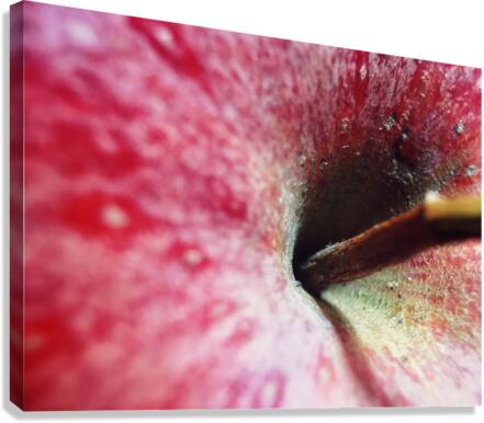 A deep look Canvas Print