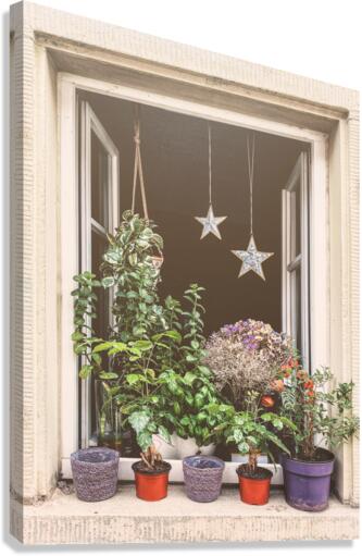 Plants galore Canvas Print