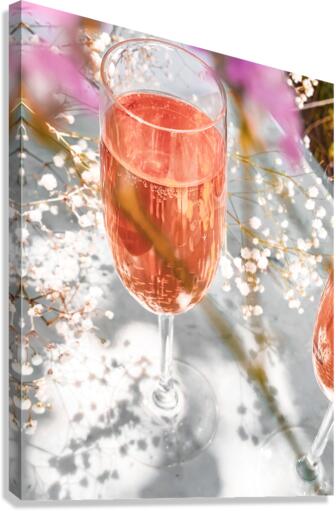 Peach bubbles II Canvas Print