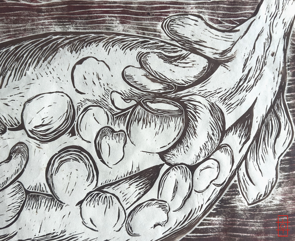 Pepper Linoleum Print by CK Shin