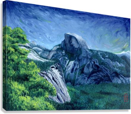 Always Face North Canvas Print