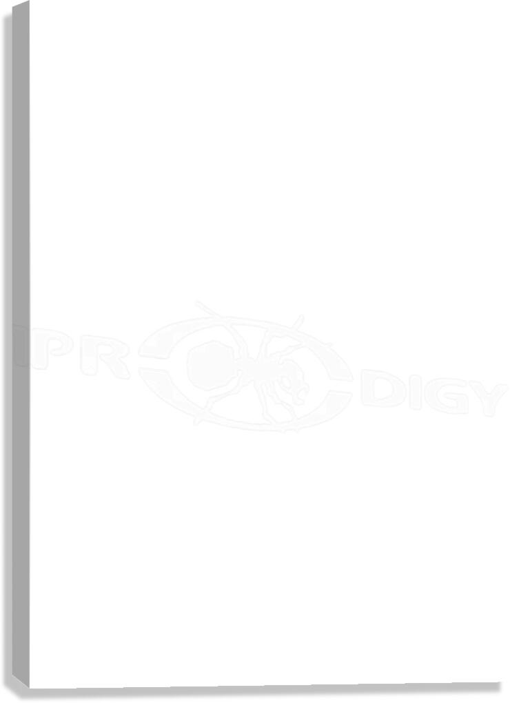 The Prodigy 3 Canvas Print