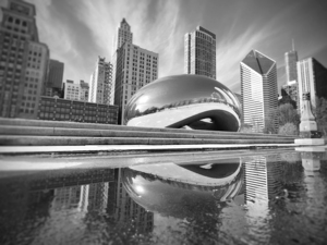 Chicago - The Cloud Gate I - Black & White