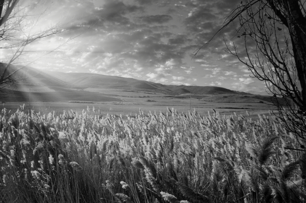 Morning Countryside Andalucia Spain Print