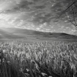 Morning Countryside Andalucia Spain