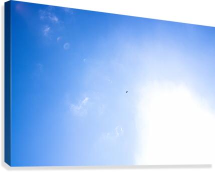 Into the Sun Canvas Print