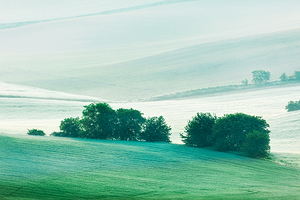Rolling landscape of South Moravia in the morning