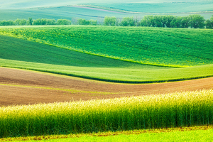 Moravian rolling landscape