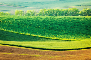 Moravian rolling landscape