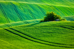 Moravian rolling landscape