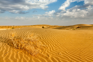 Sand dunes in desert