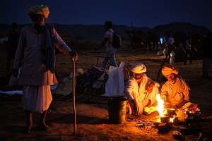 Indian men and camels at Pushkar camel fair Pushkar Mela
