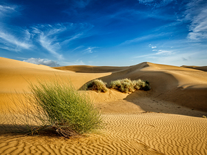 Sand dunes in desert