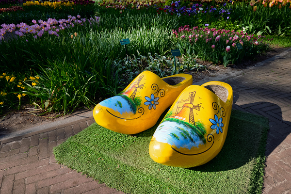 Wooden clogs klompen in Keukenhof flower garden Netherlands by Dmitry Rukhlenko