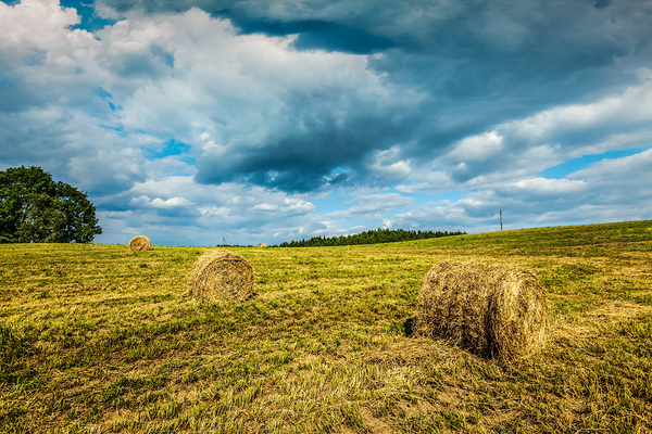 Summer Landscape with Hay Bales on Field by Dmitry Rukhlenko