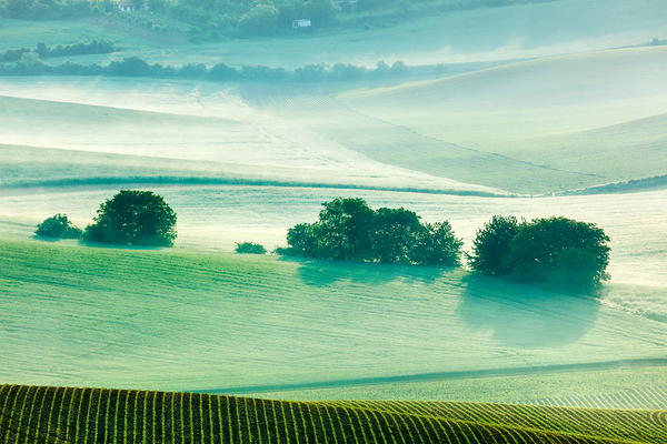Moravian rolling fields in morning mist by Dmitry Rukhlenko