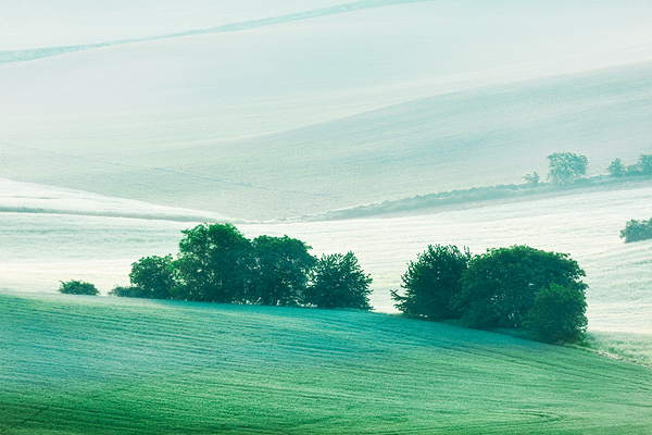 Rolling landscape of South Moravia in the morning by Dmitry Rukhlenko