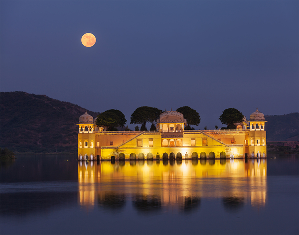 Jal Mahal Water Palace. Jaipur Rajasthan India by Dmitry Rukhlenko