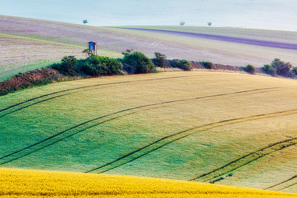 Moravian rolling landscape with hunting tower shack by Dmitry Rukhlenko