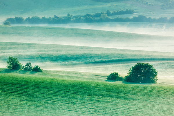 Moravian rolling fields in morning mist by Dmitry Rukhlenko