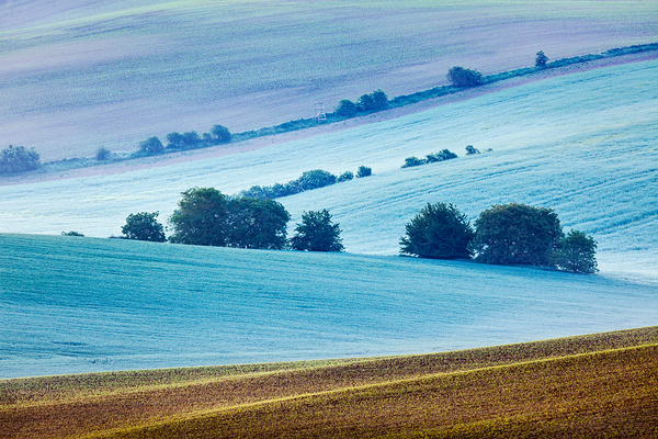 Rolling landscape of South Moravia in the morning by Dmitry Rukhlenko