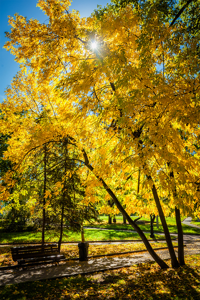 Autumn in park Print