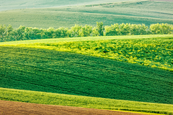 Moravian rolling landscape by Dmitry Rukhlenko