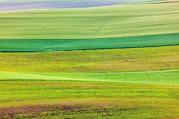 Abstract pattern of rolling fields by Dmitry Rukhlenko