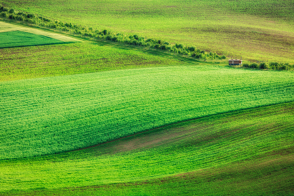 Rolling landscape of South Moravia by Dmitry Rukhlenko