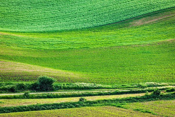 Abstract pattern of rolling fields by Dmitry Rukhlenko