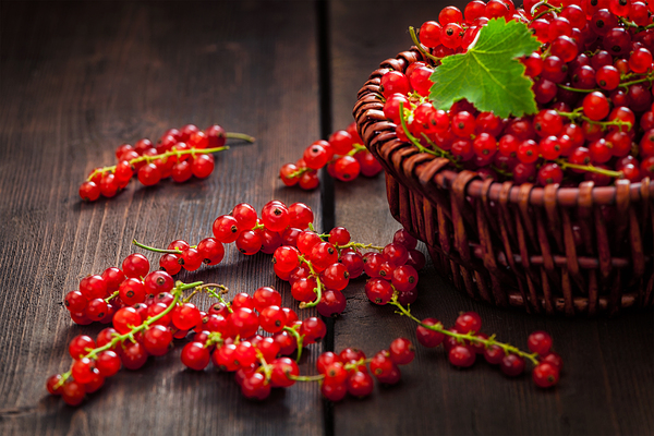 Redcurrant in wicker bowl on the table by Dmitry Rukhlenko