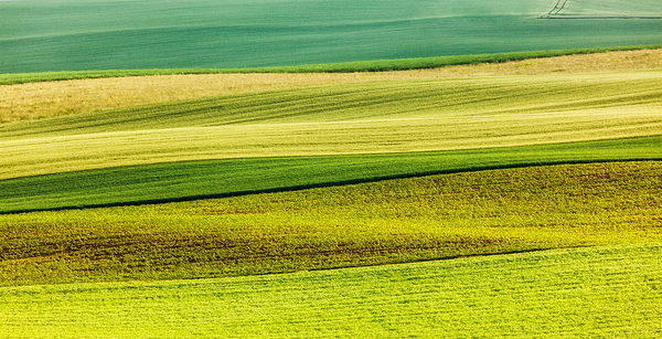 Abstract pattern of rolling fields by Dmitry Rukhlenko