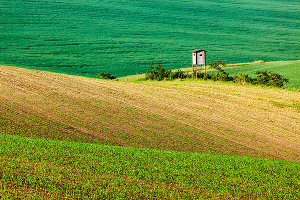 Moravian rolling landscape with hunting tower shack by Dmitry Rukhlenko