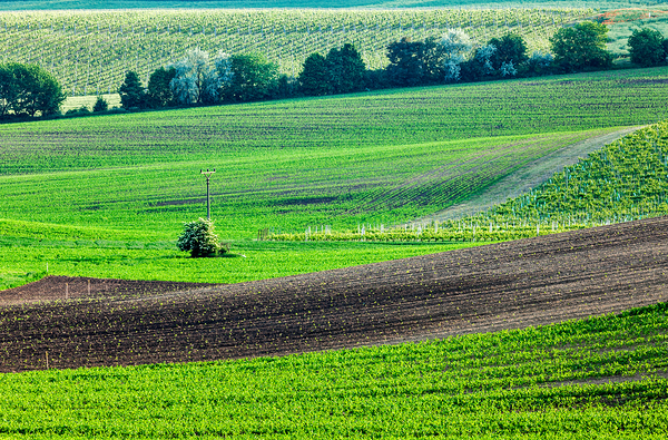 Moravian rolling landscape by Dmitry Rukhlenko
