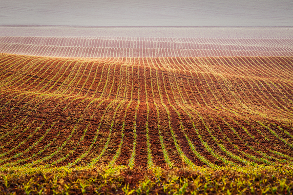 Rolling fields of Moravia by Dmitry Rukhlenko