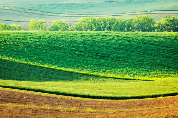 Moravian rolling landscape by Dmitry Rukhlenko