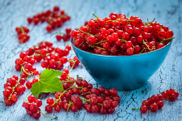Redcurrant in wicker bowl on the table by Dmitry Rukhlenko