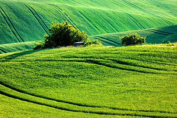 Moravian rolling landscape by Dmitry Rukhlenko