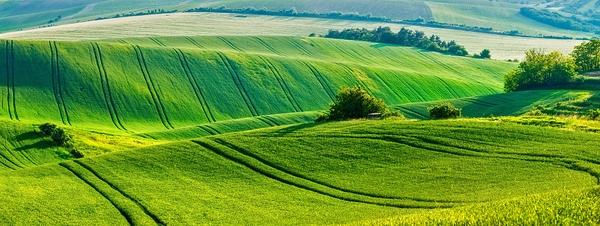 Moravian rolling landscape by Dmitry Rukhlenko