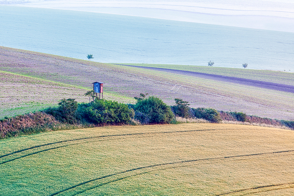 Moravian rolling landscape with hunting tower shack by Dmitry Rukhlenko