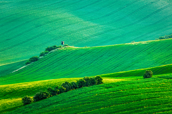 Moravian rolling landscape with hunting tower shack by Dmitry Rukhlenko
