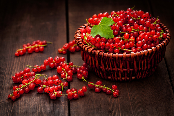 Redcurrant in wicker bowl on the table by Dmitry Rukhlenko