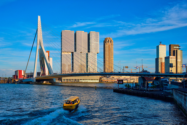 Rotterdam cityscape  Netherlands by Dmitry Rukhlenko