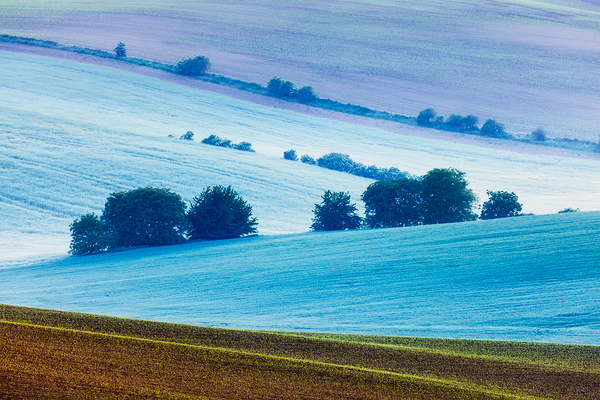 Rolling landscape of South Moravia in the morning by Dmitry Rukhlenko