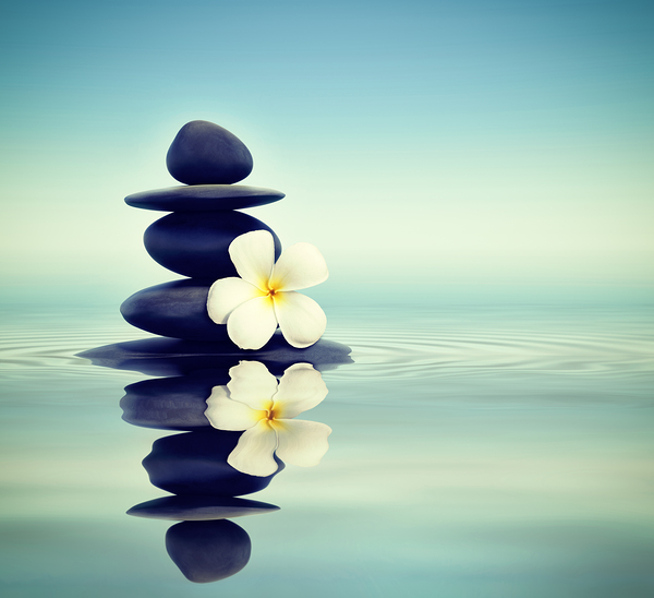 Zen stones with frangipani by Dmitry Rukhlenko