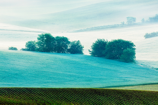 Rolling landscape of South Moravia in the morning by Dmitry Rukhlenko