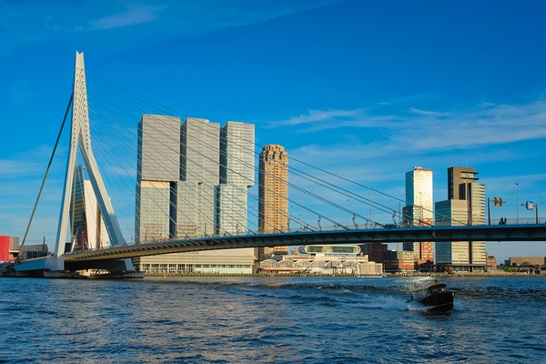 Rotterdam cityscape  Netherlands by Dmitry Rukhlenko