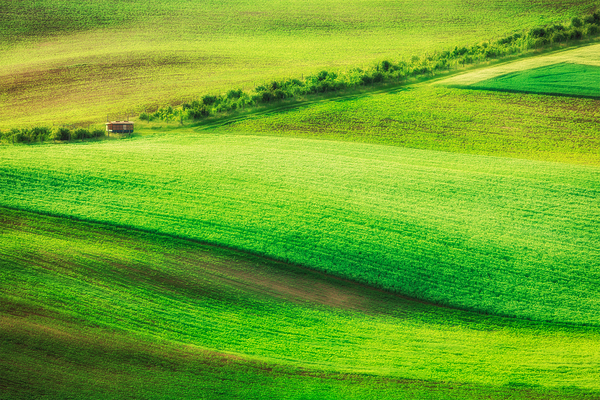 Rolling landscape of South Moravia by Dmitry Rukhlenko